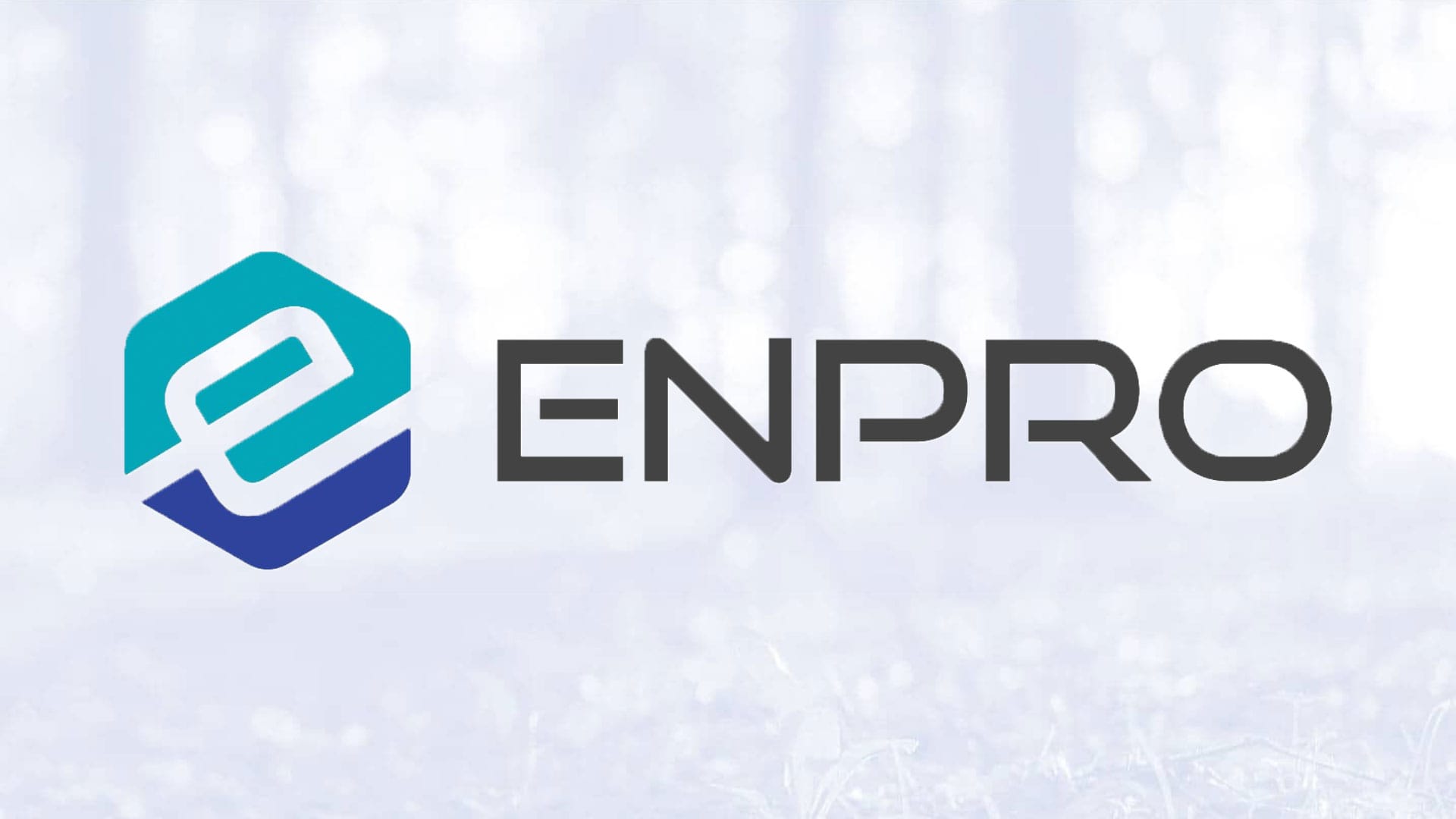 Enpro Inc Logo