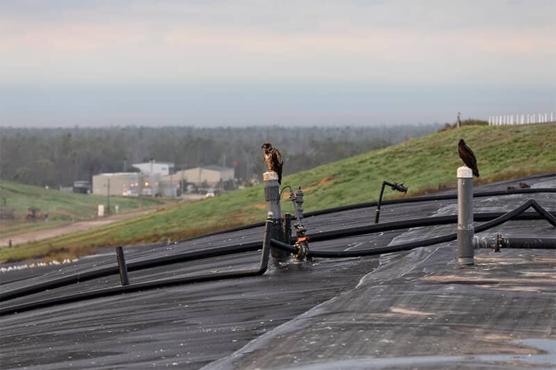 Biogas from Landfills