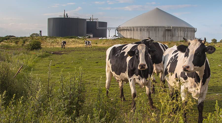 Biogas from Manure Biogas from Manure