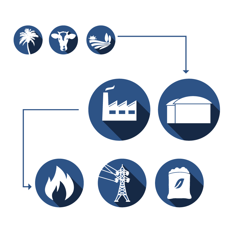 How is biogas produced How is biogas produced