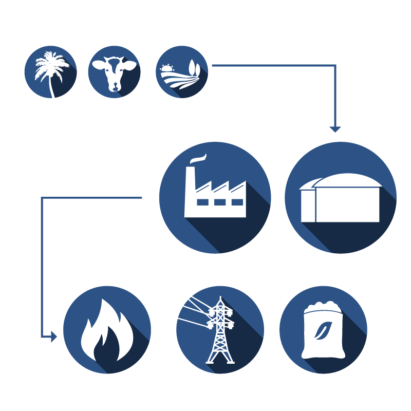 How is biogas produced