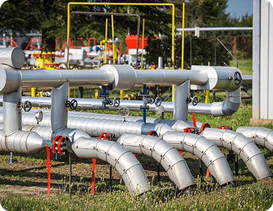 the future of renewable natural gas the future of renewable natural gas